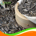 chinese hulled sunflower seeds